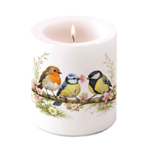 Candle medium Bird friends