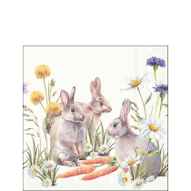 Napkin 25 Carrot treat FSC Mix