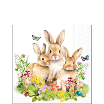 Napkin 25 Bunny family FSC Mix