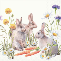 Napkin 33 Carrot treat FSC Mix