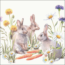 Napkin 33 Carrot treat FSC Mix