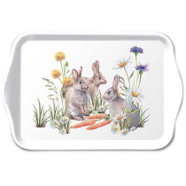Tray melamine 13x21 cm Carrot treat