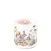 Candle small Carrot treat