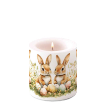 Candle small Egg collectors