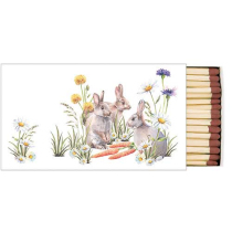 Matches Carrot treat