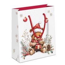 Gift bag Teddy's gift white