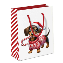 Gift bag Anton