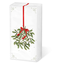 Hdkf Mistletoe with bow white