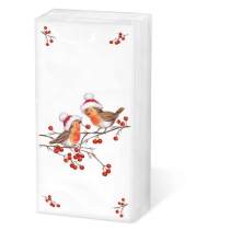 Hdkf Christmas robins white