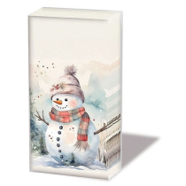 Hdkf Snowman in nature