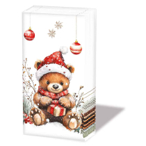 Hdkf Teddy's gift white