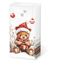 Hdkf Teddy's gift white