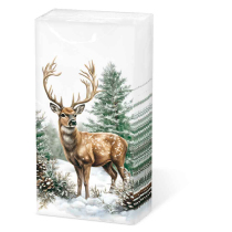 Hdkf Winter stag white