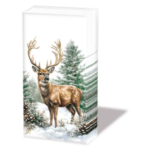 Hdkf Winter stag white