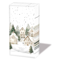 Hdkf Snowy houses