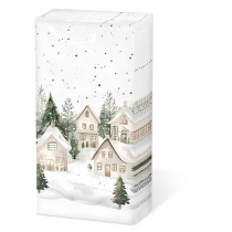 Hdkf Snowy houses