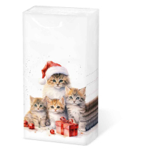 Hdkf Meaowy Christmas