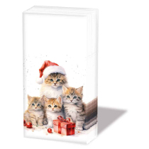 Hdkf Meaowy Christmas