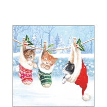 Napkin 25 Kitten in winterland FSC Mix