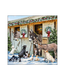 Napkin 25 Animal friends FSC Mix