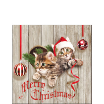 Napkin 25 Curious kittens FSC Mix