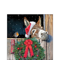 Napkin 25 Friends with donkey FSC Mix