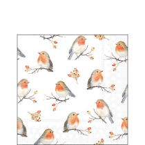 Napkin 25 Robin family FSC Mix