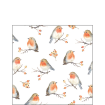 Napkin 25 Robin family FSC Mix