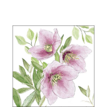Napkin 25 Classic helleborus FSC Mix