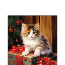 Napkin 25 Molly FSC Mix