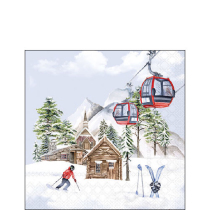 Napkin 25 Ski hut FSC Mix