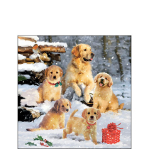 Napkin 25 Golden retriever puppies FSC Mix