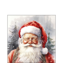 Napkin 25 Happy Santa FSC Mix