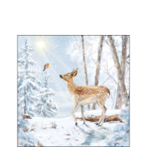 Napkin 25 Meeting in winterworld FSC Mix