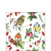 Napkin 25 Birds in winter FSC Mix