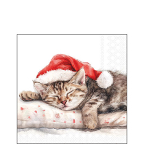 Napkin 25 Dreaming about X-Mas FSC Mix