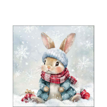 Napkin 25 Bugsy FSC Mix