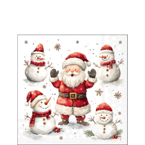 Napkin 25 Jolly friends FSC Mix