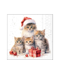 Napkin 25 Meaowy Christmas FSC Mix