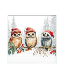 Napkin 25 Wise owls FSC Mix