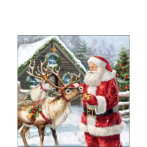 Napkin 25 Give a treat FSC Mix