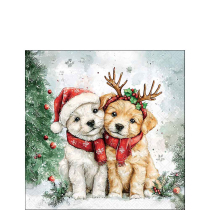 Napkin 25 Cody and Buddy FSC Mix