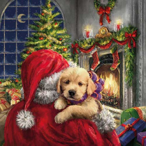 Napkin 33 Puppy at fire FSC Mix