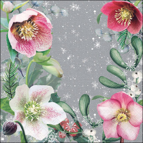 Napkin 33 Helleborus orientalis grey FSC Mix