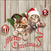 Napkin 33 Curious kittens FSC Mix