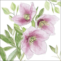 Napkin 33 Classic helleborus FSC Mix