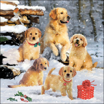 Napkin 33 Golden retriever puppies FSC Mix