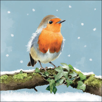 Napkin 33 Robin on branch FSC Mix