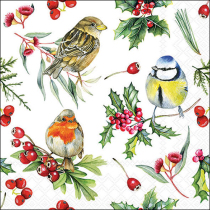 Napkin 33 Birds in winter FSC Mix