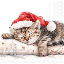 Napkin 33 Dreaming about X-Mas FSC Mix